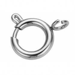 Stainless Steel Spring Clasp bolt ring